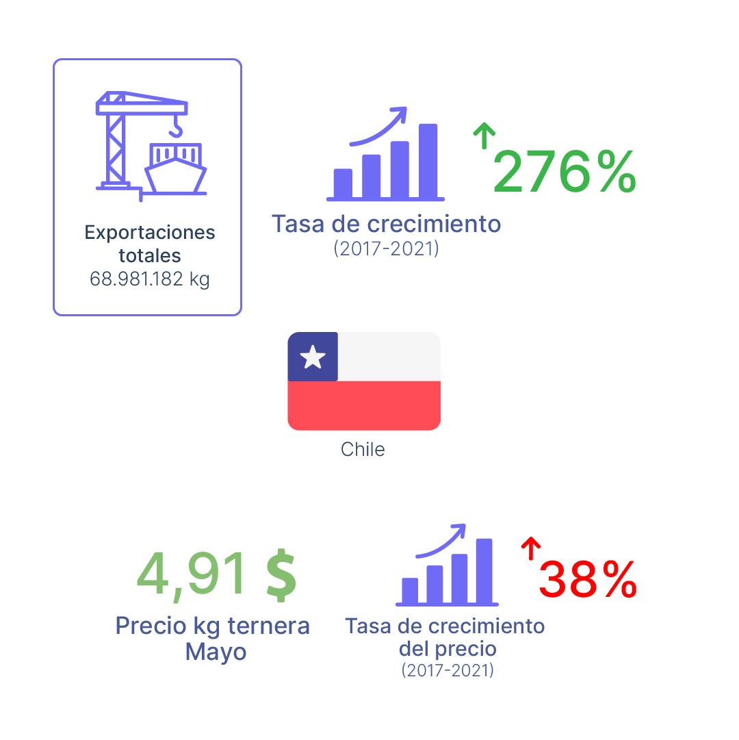 Exportaciones de ternera desde Chile